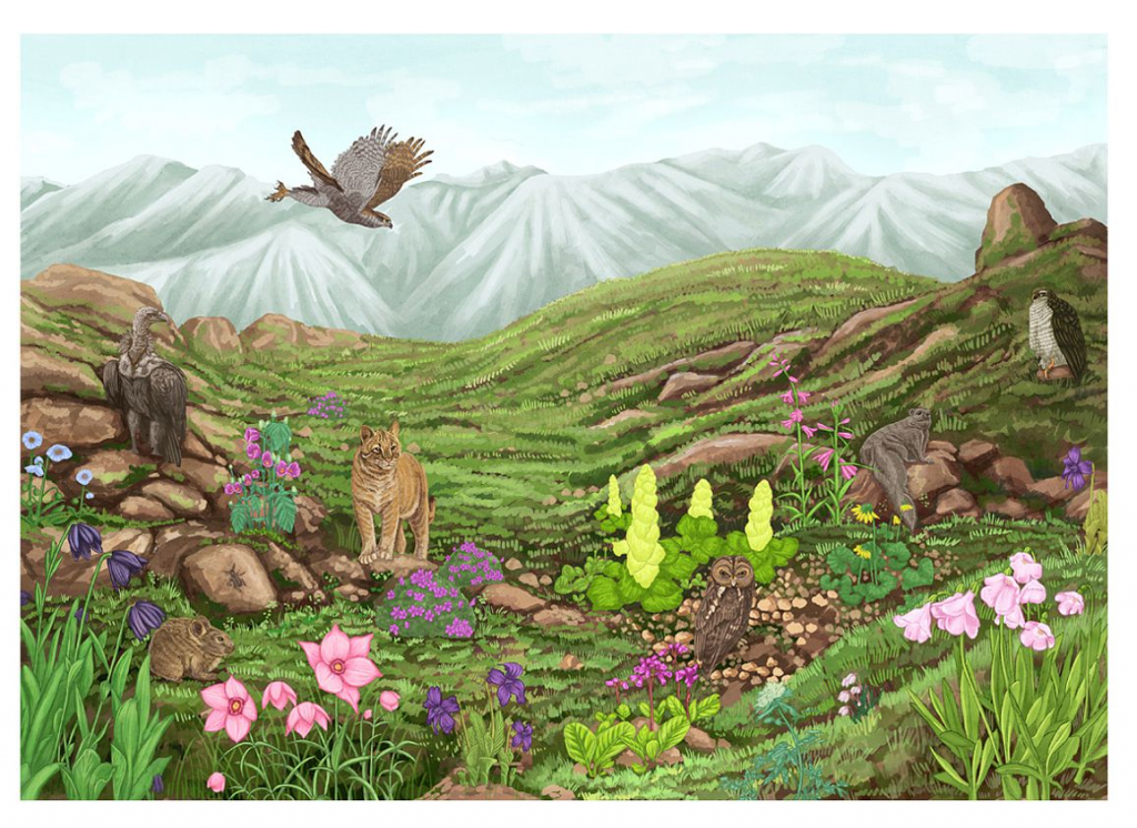 王宇达 WANG YUDA的作品