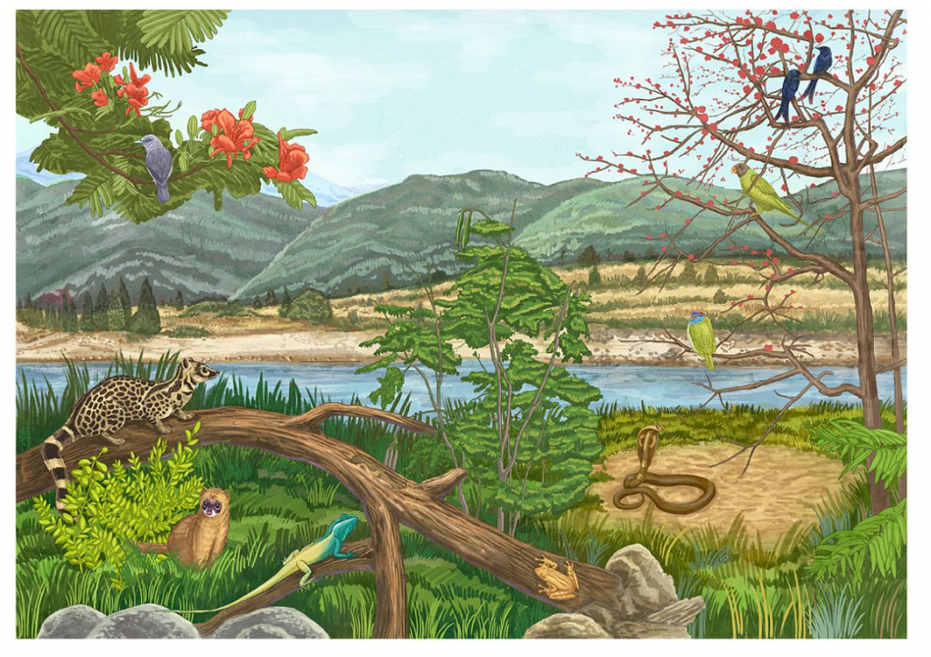 王宇达 WANG YUDA的作品